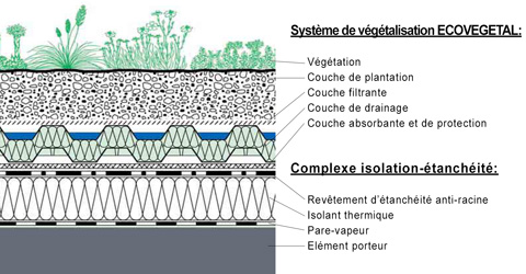 Système de végétalisation Ecovégétal